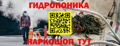 сатива Гусь-Хрустальный