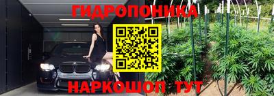 сатива Гусь-Хрустальный